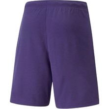 Puma Antrenman Ürünleri Şort Teamrise Short