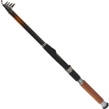 Remixon Cougar 50-100 gr Surf Kamış