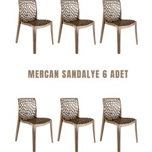 Mercan - Bahçe Mutfak Balkon Veranda Teras Kafe Restoran Düğün Sandalye 6'lı Set - BRONZ