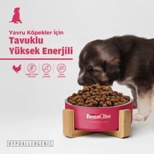 Puppy Dog Yüksek Enerjili Yavru Köpek Maması, 100 gr x 5 Adet, Tüm Irklar Için, Doğal, Şeker Içermez