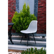 Safir Sandalye – Metal Ayaklı Modern Mutfak Kafe Restoran Ofis Sandalyesi 2'li Set