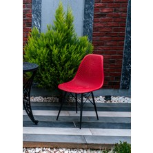 Safir Sandalye – Metal Ayaklı Modern Mutfak Kafe Restoran Ofis Sandalyesi 2'li Set