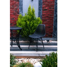 Safir Sandalye – Metal Ayaklı Modern Mutfak Kafe Restoran Ofis Sandalyesi 2'li Set