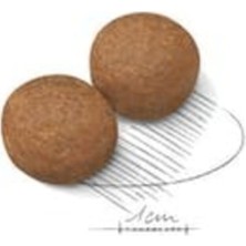 Royal Canin Maxi Adult Büyük Irk Yetişkin Köpek Maması 15KG Omega 3 Yağ Asitleri ile Zenginleştirilmiş