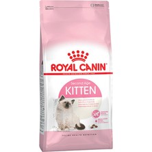 Kitten 36 Yavru Kedi Maması 2 kg