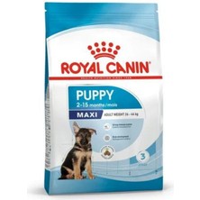Royal Canin Maxi Puppy 15 kg Yavru Köpek Maması Tahıllı Besleyici İçerik ile Sağlıklı Gelişim