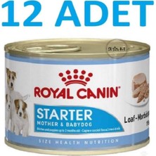 Royal Canin Starter Mousse Anne ve Yavruları Için Köpek Konservesi 195 gr x 12 Adet