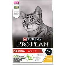 Pro Plan 10KG Tavuklu Yetişkin Kedi Maması Premium Kalite ile Sağlıklı Beslenme Sunar