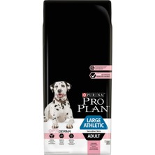 Pro Plan Large Athletic Sensitive Somonlu Yetişkin Köpek Maması 14 kg