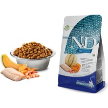 H2O Ocean Morina Balığı, Karides, Balkabağı & Kavun Kıtten 1,5 kg