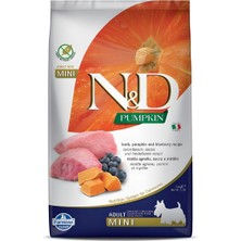 N&D Balkabaklı Kuzu Etli Tahılsız Küçük Irk Köpek Maması 7 kg Mini Mama Segmenti