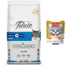 2 kg Yetişkin Somonlu Kedi Kuru Maması + Wanpy Karışık 8 Lezzetli Krema Kedi Ödülü 25*14 gr