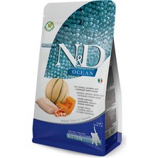 Ocean Grain Free Kitten Cod Shrimp Pumpkin Tahılsız Taze Balıklı Yavru Kedi Maması 1,5 kg