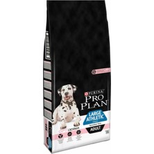 Large Athletic Adult Somon Köpek 14KG Büyük Irk Somonlu Köpek Maması