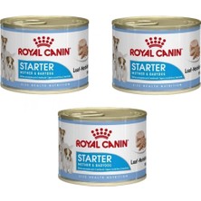 Royal Canin Starter Mousse Anne ve Yavruları Için Köpek Konservesi 195 gr x 3 Adet