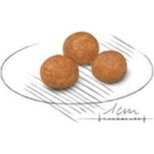 Royal Canin X-Small Adult Yetişkin Köpek Maması 1,5 kg