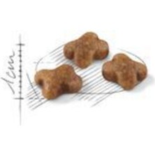 Royal Canin Kıtten Yavru Kedi Maması 2kg Premium Kalite Lezzetli Besleyici İçerik