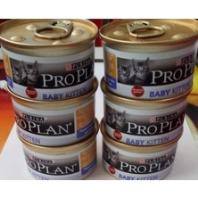 Baby Kitten Konserve Mama 6 Al 5 Öde URN93462