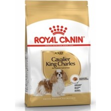 Royal Canin Cavalier King Charles 27 Yetişkin Köpek Maması 3 kg Premium Kalite Besleyici İçerik