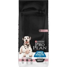 Hassas Büyük Irk Somonlu Köpek Maması 14 kg