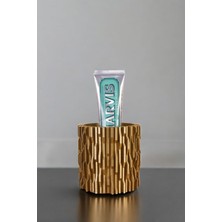 Diş Fırçalığı Diş Fırçalık Diş Fırçası Standı Diş Fırçası Tutucu Siyah Renk Model 78