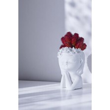 Saksı Dekoratif Saksı Kaktüs Saksısı Sukulent Saksısı Küçük Saksı Model 47 Altın Saksı