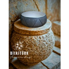 Bitkitürk Özel Tasarım Beton Bonsai Saksısı