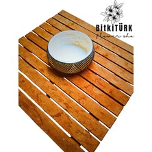 Bitkitürk Özel Tasarım Beton Bonsai Saksısı