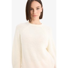 DeFacto Regular Fit Bisiklet Yaka Triko Kazak L2567AZ25WN