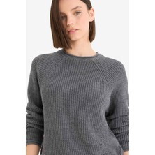 DeFacto Regular Fit Bisiklet Yaka Triko Kazak L2567AZ25WN