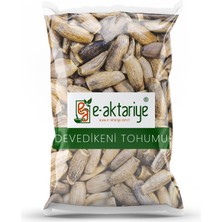 Eaktariye Devedikeni Tohumu 250 gr