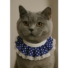 Kedi Prenses Yaka Tasma Mavi Puantiyeli Dantelli