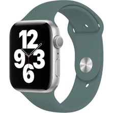 Apple Watch Series 10/9/8/7/6/5/4/SE/3/2/1 42mm-41mm-40mm-38mm Uyumlu M/L Beden Düz Silikon kordon .