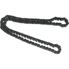 Tvs Raider 125 Eksantrik Zinciri Orjinal