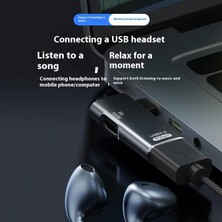 Apera GA29 Type-C Metal Adaptör USB 3.0 5gbps Veri Aktarımı 100W Pd Şarj I-Phone Android Uyumlu