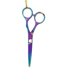 Rainbow Düz Uçlu Tek Vidalı Saç Kesim Makası 5.5 Inç XLQ576