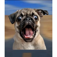 Pug Araba,laptop,için Dayanıklı,eğlenceli Sticker