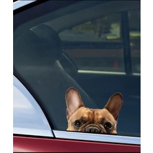 Fransız Bulldog Araba ,motorsiklet, Dizüstü Bilgisayar, Buzdolabı Sticker,etiket,pencere Etiketi
