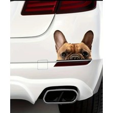Fransız Bulldog Araba ,motorsiklet, Dizüstü Bilgisayar, Buzdolabı Sticker,etiket,pencere Etiketi