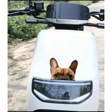 Fransız Bulldog Araba ,motorsiklet, Dizüstü Bilgisayar, Buzdolabı Sticker,etiket,pencere Etiketi