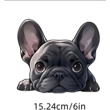 Pug Araba , Laptop Eğlenceli Yapışkan Sticker