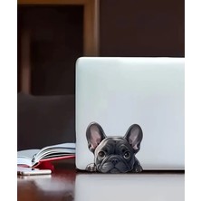 Pug Araba , Laptop Eğlenceli Yapışkan Sticker