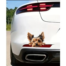 Yorkshire Terrier Eğlenceli, Yapışkanlı Araba, Laptop Sticker