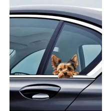 Yorkshire Terrier Eğlenceli, Yapışkanlı Araba, Laptop Sticker