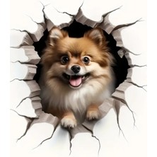 Pomeranian  Sevimli, Yapışkanlı, Araba, Laptop Sticker