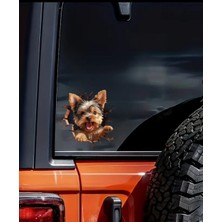 Yorkshire Terrier Eğlenceli Yapışkanlı Araba, Laptop Sticker