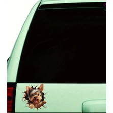 Yorkshire Terrier Eğlenceli Yapışkanlı Araba, Laptop Sticker