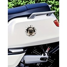 Pug Sevimli,eğlenceli Araba,laptop Sticker