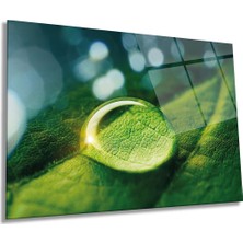 Yeşil Yaprak Üstünde Su Damlası Yatay Cam Tablo, Ev ve Ofis Duvar Dekoru, Lüks Hediyelik