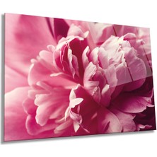 Pembe Şakayık Çiçeği Yatay Cam Tablo, Doğa, Ev ve Ofis Duvar Dekoru, Lüks Hediyelik